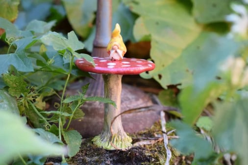 Mushroom with Gnome